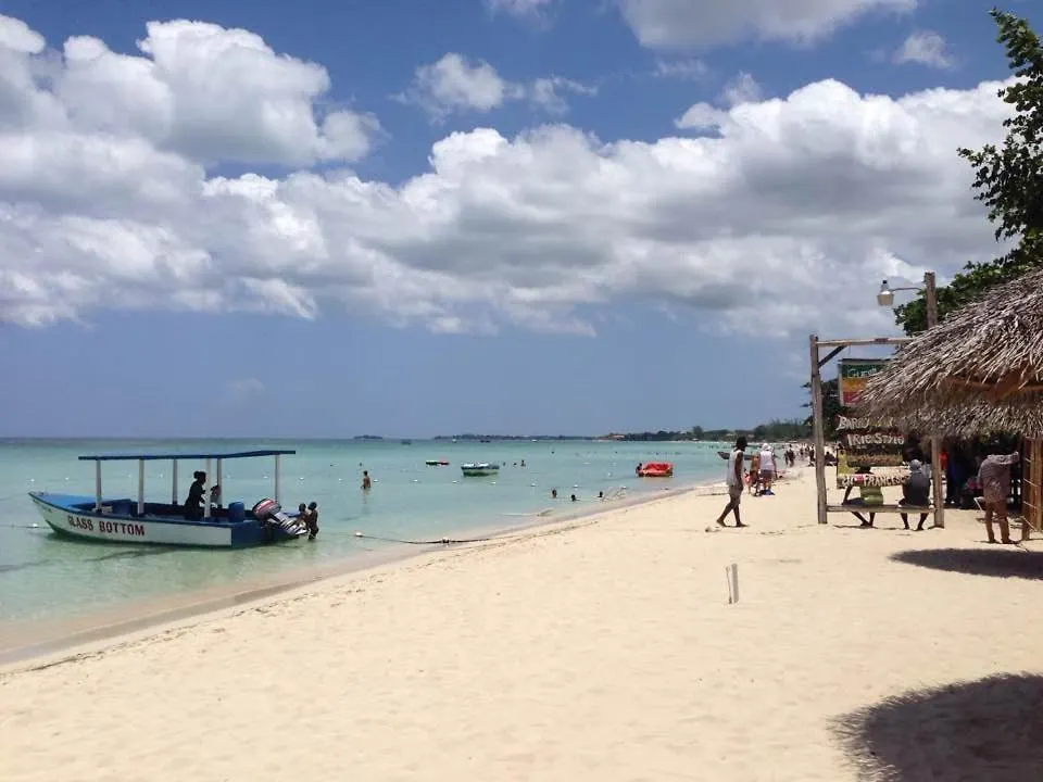 R&V Villa Negril Holiday home
